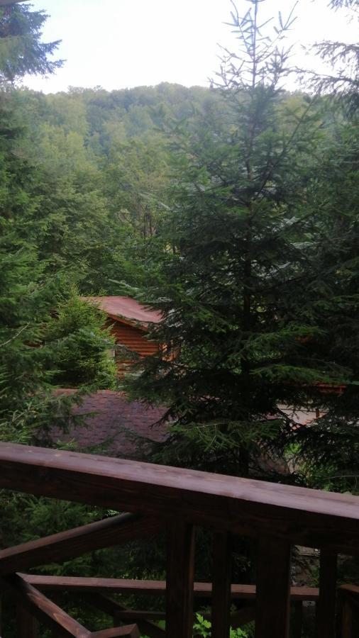 Hotel Yavir Yaremche Luaran gambar