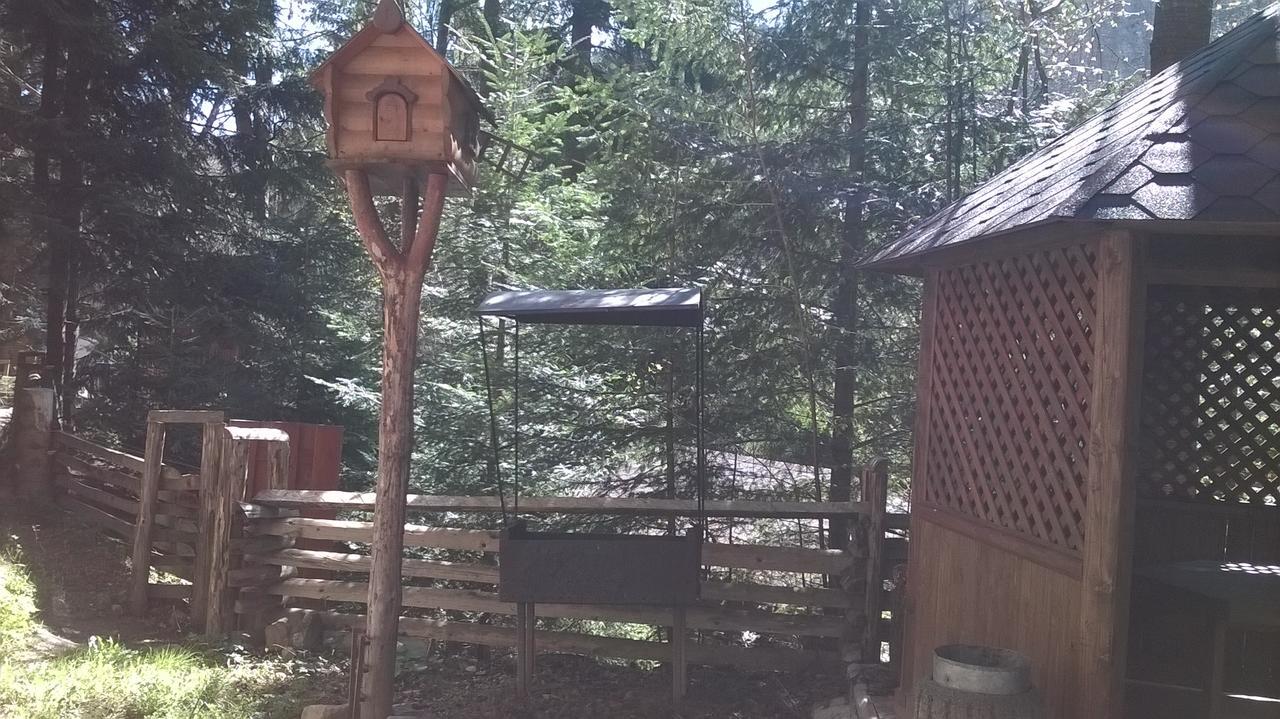 Hotel Yavir Yaremche Luaran gambar